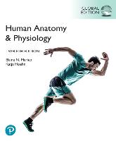 Human Anatomy & Physiology, Global Edition (PDF eBook)